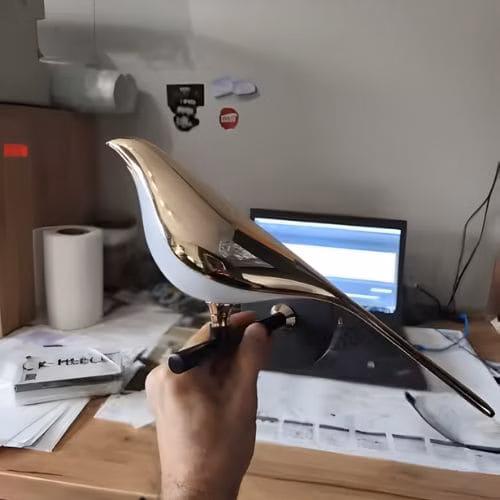 Ricevuto rapidamente IMG avis oiseau1.jpg